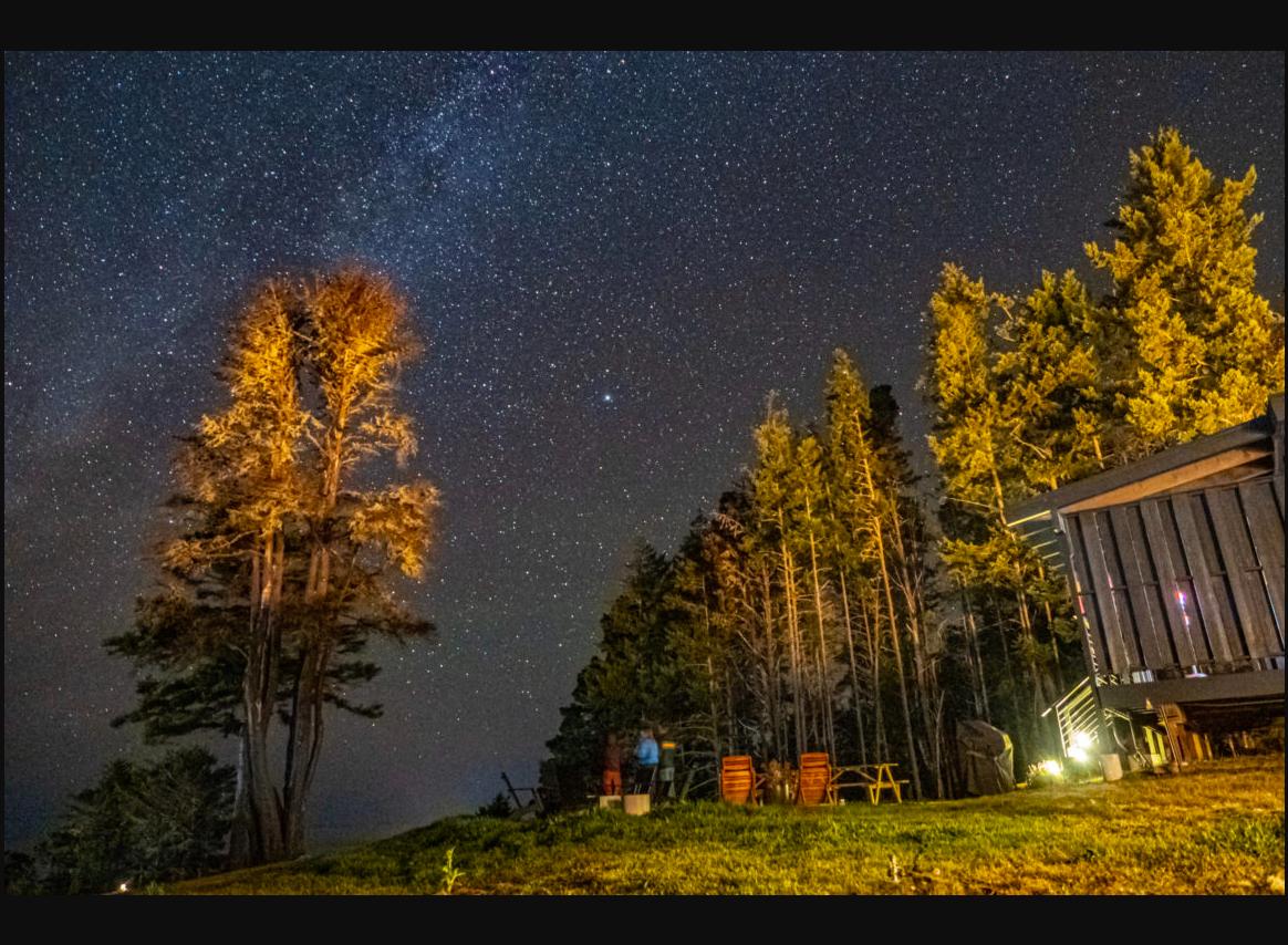 Night sky over Driftwood Lodge