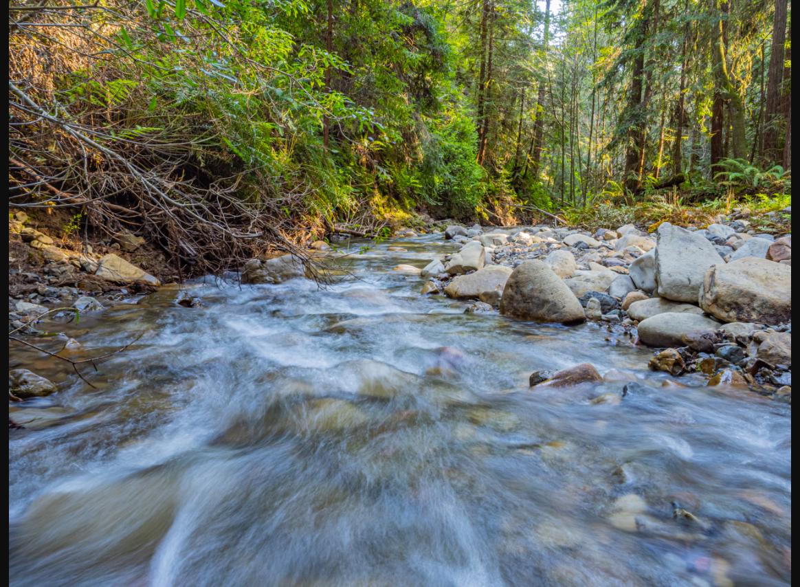 Fort Ross Creek running through the redwood forest on the property